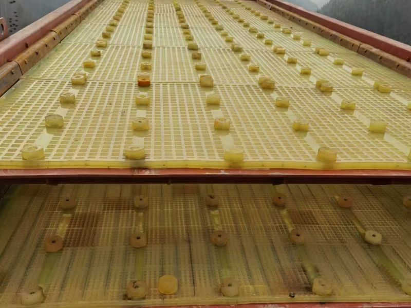 耐磨聚氨酯篩網